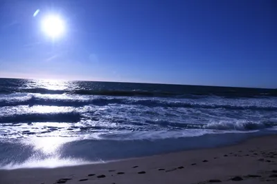 DSC_0469 (Large).JPG